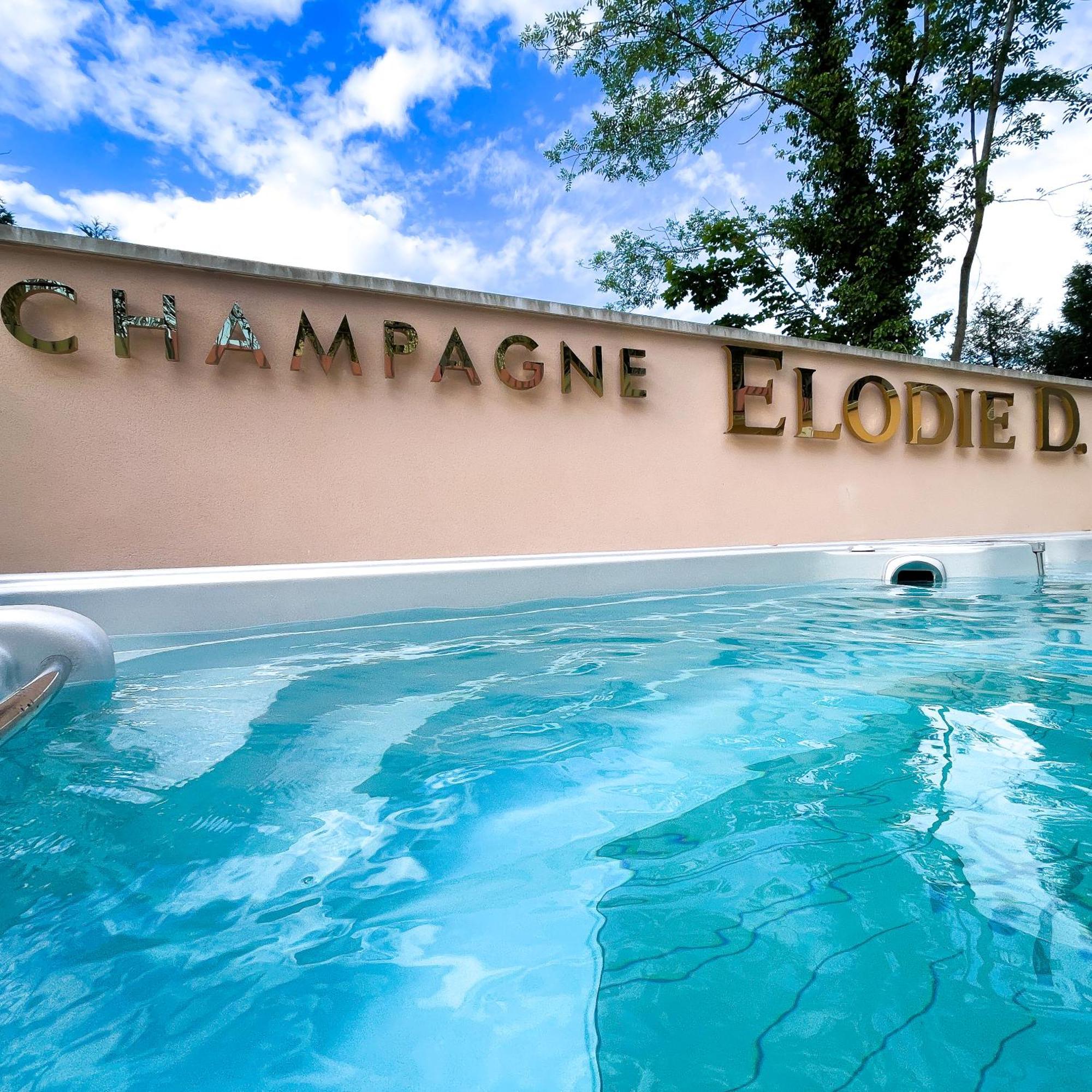 La Demeure D'Elodie Epernay Bagian luar foto